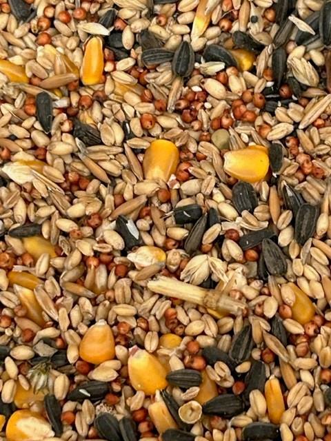 5kg Coarse Wild Bird Mix - Click Image to Close